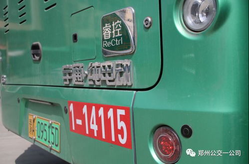 三、推荐路线：随便拼凑版“赏花三部曲”