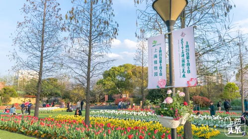 三、我是普通市民…没啥特殊身份…咋办？