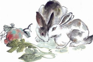 1987年属兔人在2026年有哪些灾星需要注意？