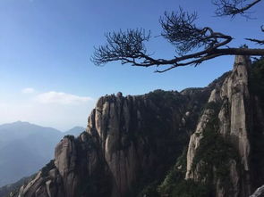 三、 登山技巧——随意而为，但别真实的摔倒！