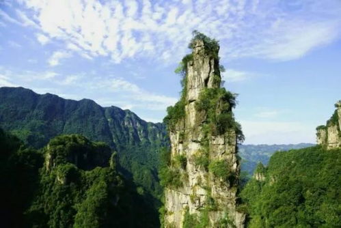 还有更多隐藏惊喜…
