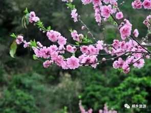 为什么要抓紧时间？