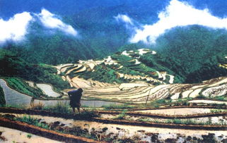 穿越广丰铜钹山， 古村落的谜团——一场乱糟糟的探险