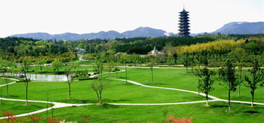 铜官山：一个被世界遗忘的垃圾场还是隐藏的瑰宝？