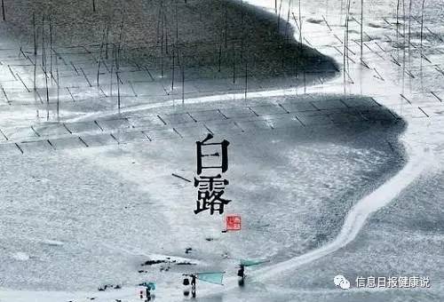 风水大师的收割时间