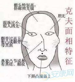 哦对了插一句手相那点事