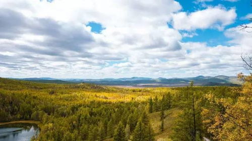 景区入口处设有免费停车场(容量500辆)