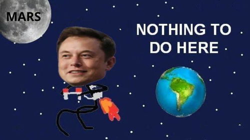 序章——笨鸟先飞与夜半惊魂的星座暗示