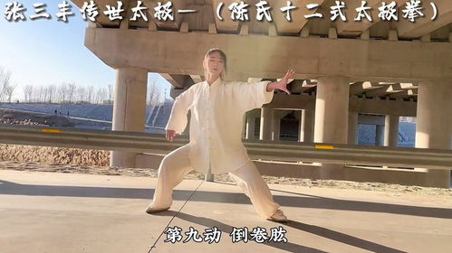 吕祖太极123张三丰传世太极拳全套有哪些动作和技巧？