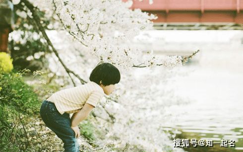 想象中的未来：一场精心编织的谎言