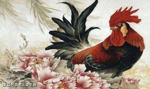 谁能将谋天下胜者为强 牛马鸡猪来相助
为生肖，并让牛马鸡猪来帮忙？