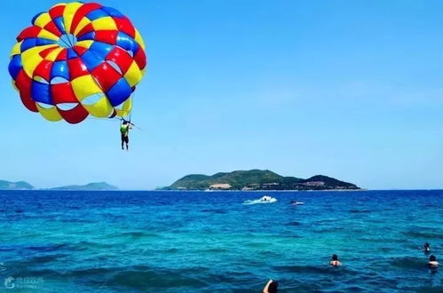 三沙夏日邂逅珊瑚岛时光，这样的体验你有过吗？