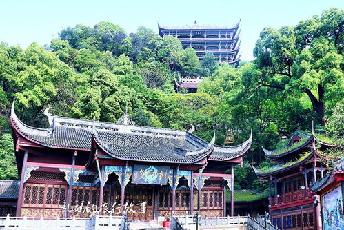 老君洞的求签文化