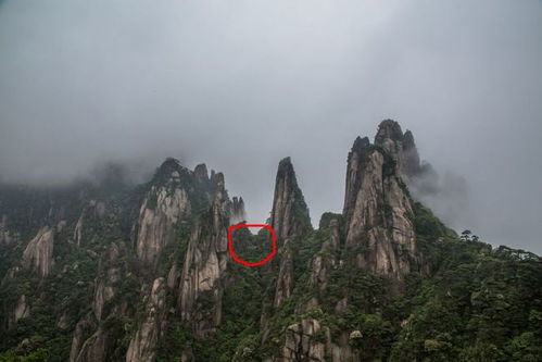 探秘九华山， 仙境之巅的奇妙之旅
