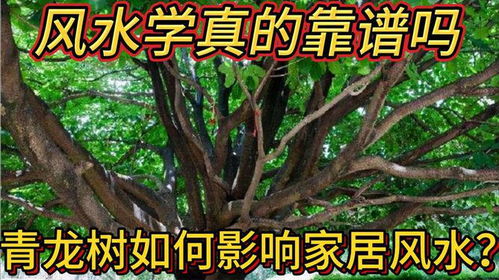线上堪风水靠谱吗？真的嫩准确分析家居风水吗？