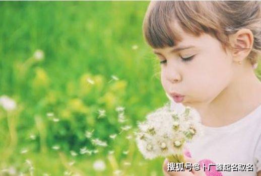 3. “凌”错觉组合（故意写错来生产噪音）——别找错了！
