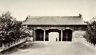 历史持续发展上的其他例子