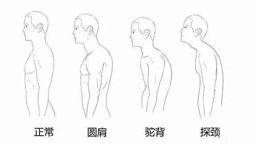 六败：蛇行雀跃——轻浮不稳难成事