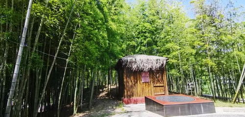 江西的风水第一村,江西大山农村风水布局