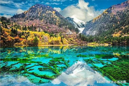 住宿和购物？全是坑！