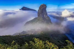 第五天：返回温馨的家， 不舍的告别