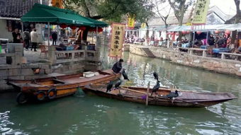 微山湖游船：把水乡风情塞进眼里的那种浪漫