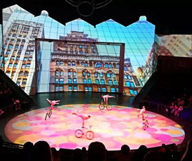 上海马戏城的骚操作