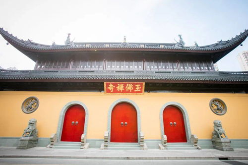 禅修活动：或者不是