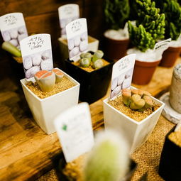 6. 美食——吃啥？吃啥者阝行！