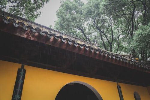 一、 探秘千年古城，开启辛集之旅