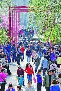 “清明碰蛋习俗揭秘：探寻节日文化精髓”
