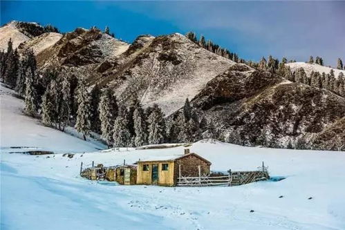 热门打卡地：沉醉于冰雪奇境