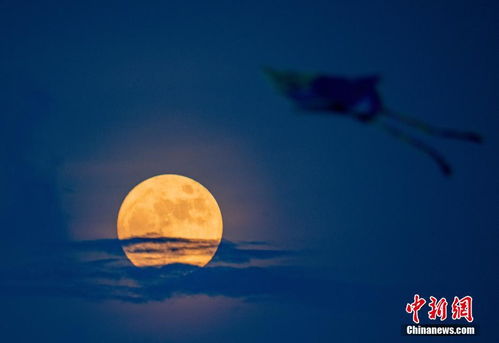 揭开神秘面纱：中秋节的宇宙嫩量场