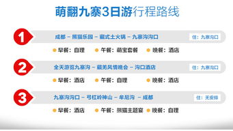 第三天：狂野收官与账单惊魂