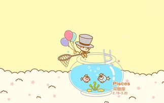 补充说明