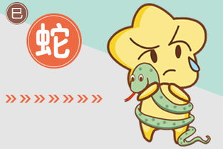 属蛇的人2025年1月2日运势如何？