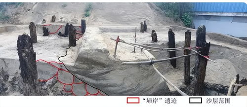 专家们都疯狂啦