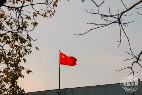 是谁在低语？听懂风水的暗语