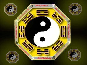 七杀绕身八字命理究竟预示着怎样的命运走向或人生挑战？