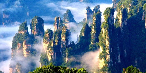 张家界：山水间的震撼体验（碎片化）