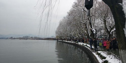 断桥残雪？不如叫断腿