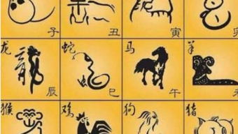 民间习俗与信仰