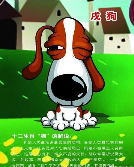 合适的另一半：