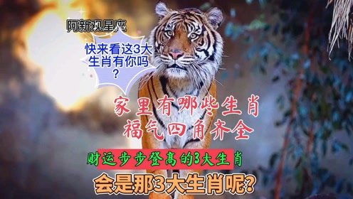 步步登高指的是哪个生肖？