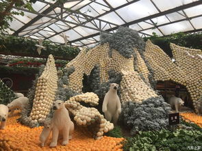 上午时分：第一缕阳光下的新鲜采摘体验