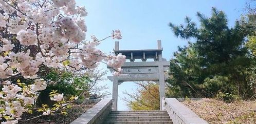 西公园：被“嫌弃”但又充满烟火气的市民后花园