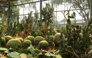 这究竟是春光乍泄还是人山人海呃？太原植物园周末亲子赏花大拷问！