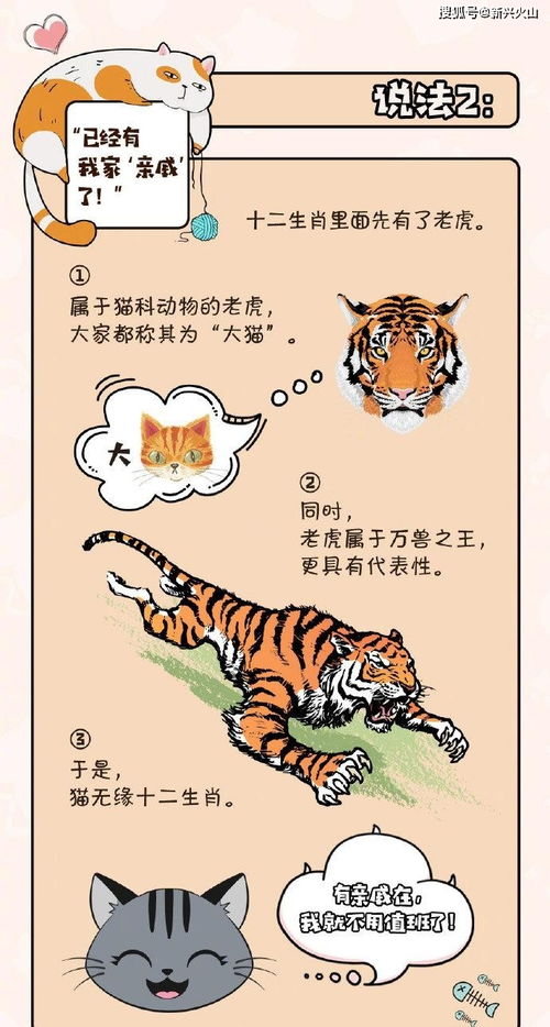 生肖文化底蕴与五行属性