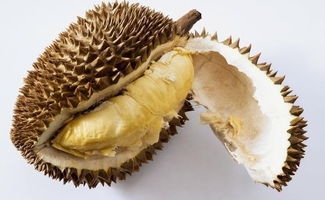 2.1 设计独特， 充满个性