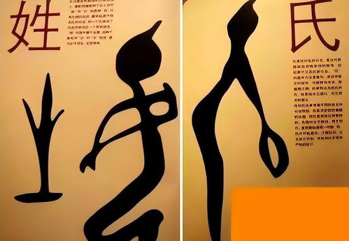 2026年徐姓兔宝宝起名四字，姚姓兔宝宝起名有何建议？